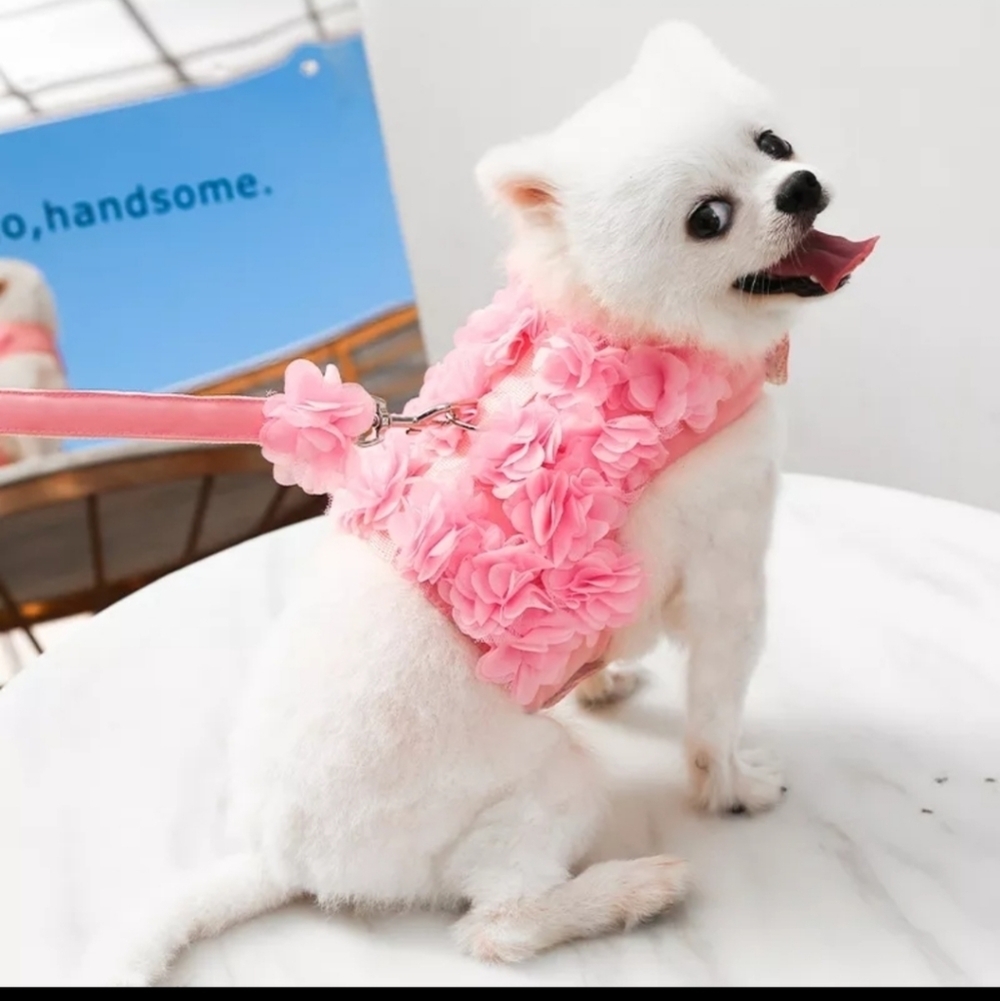 Pink ruffle dog harness and leash